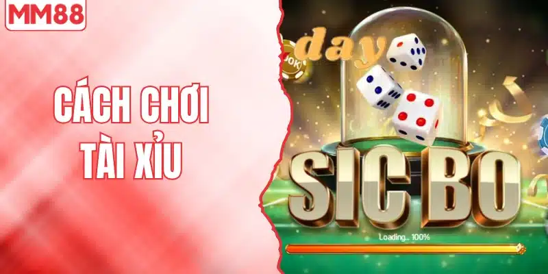 Cách chơi tài xỉu